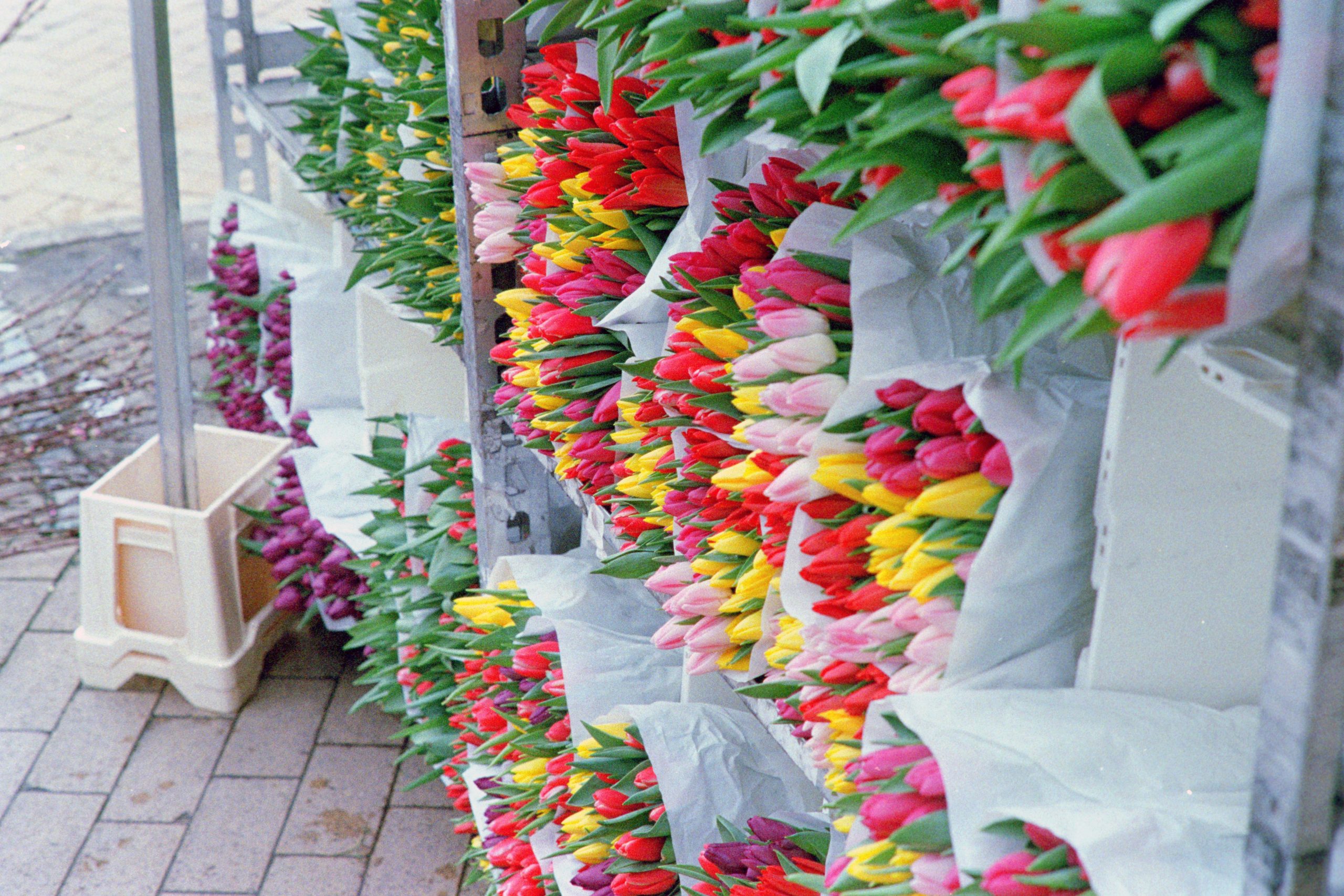 Flower library